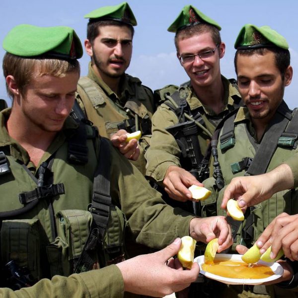 Honey Cake for an Israeli Soldier